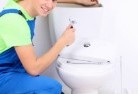 Wy Yungtoilet-replacement-plumbers-2.jpg; ?>